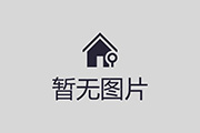 仿生机器人：模仿自然的智能机器